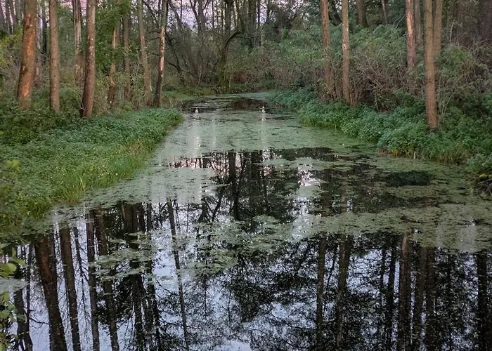 Letniskowy Zefirek *